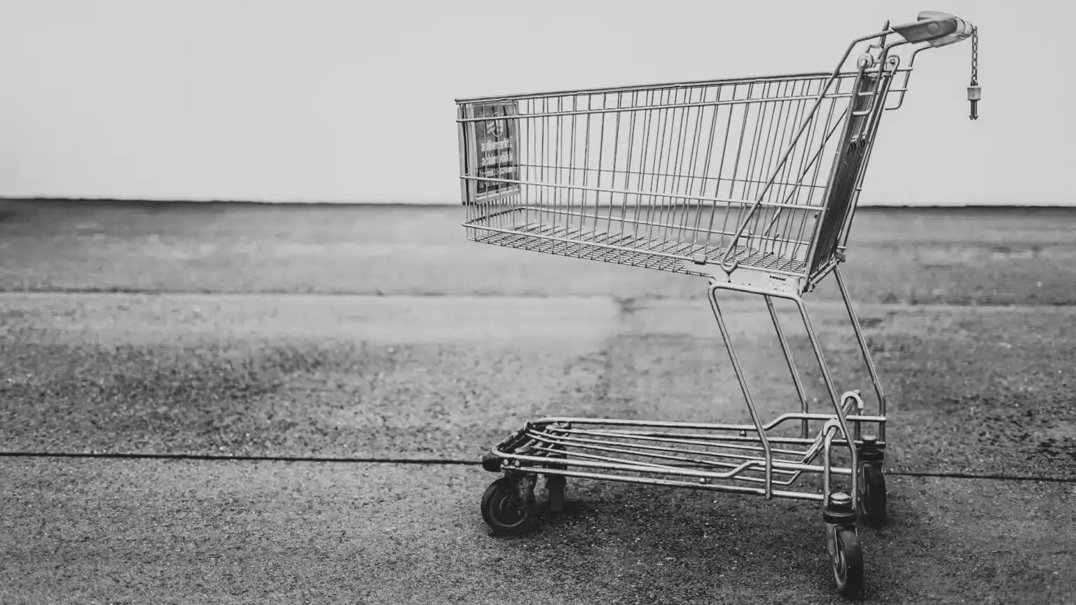 Winkelwagen zwart wit