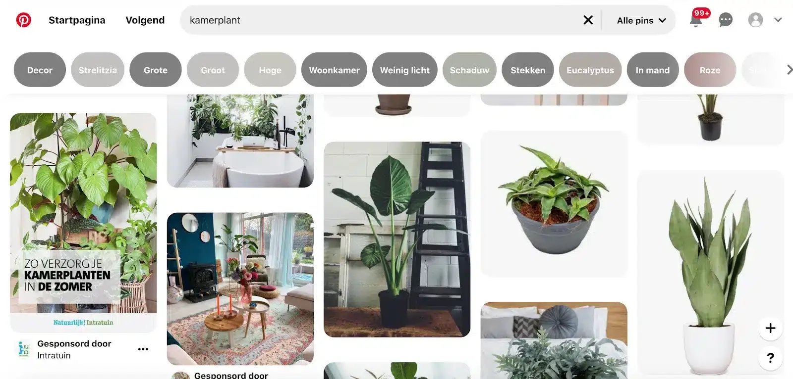 Pinterest-advertentie