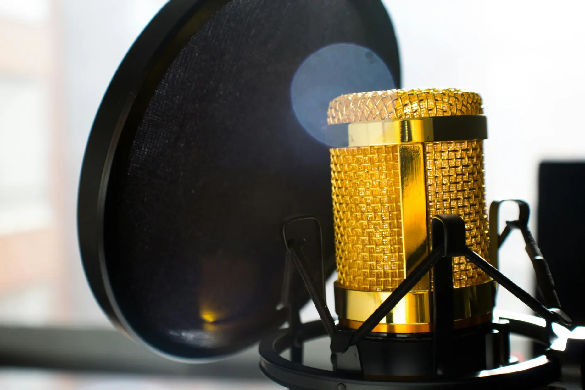 Studiomicrofoon met popfilter